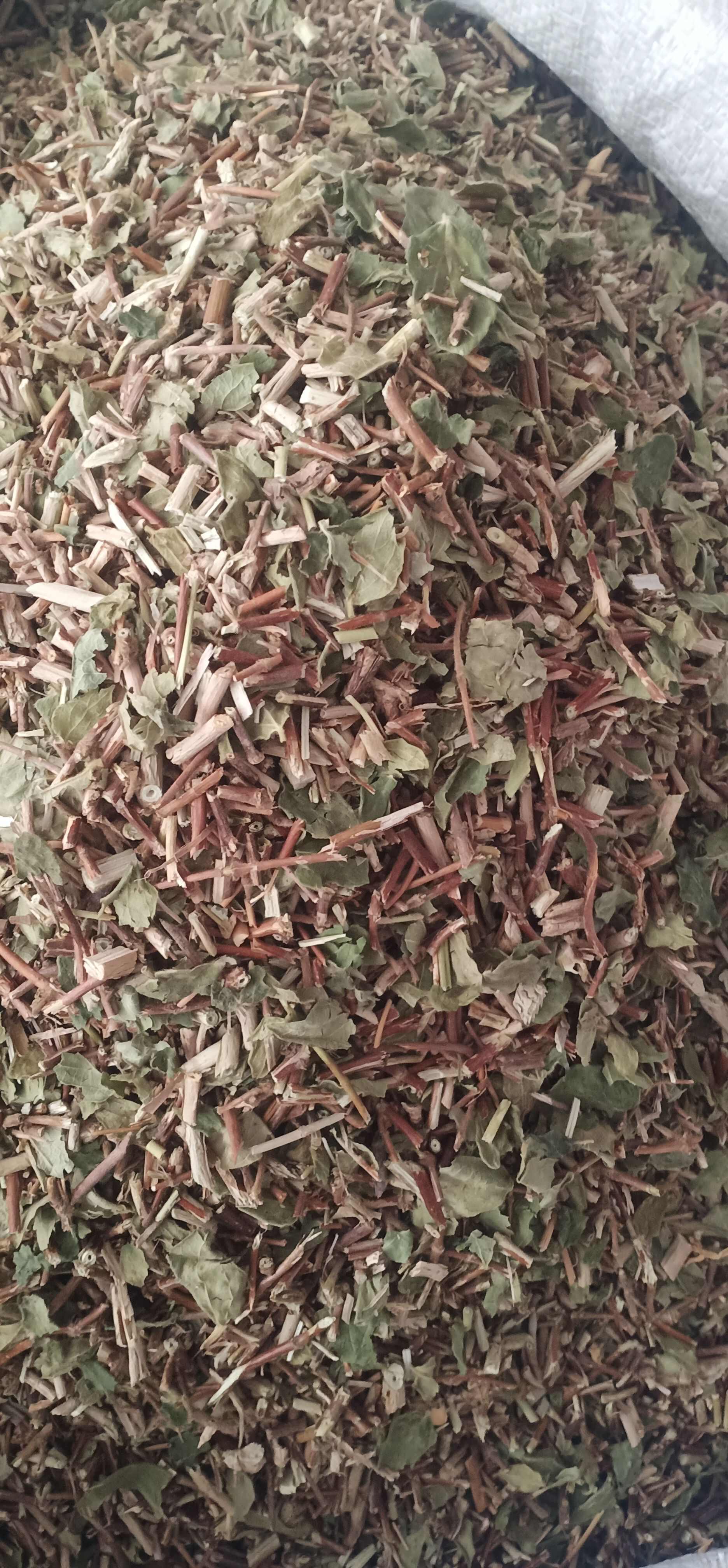 新货忍冬藤一手货源量大忧惠