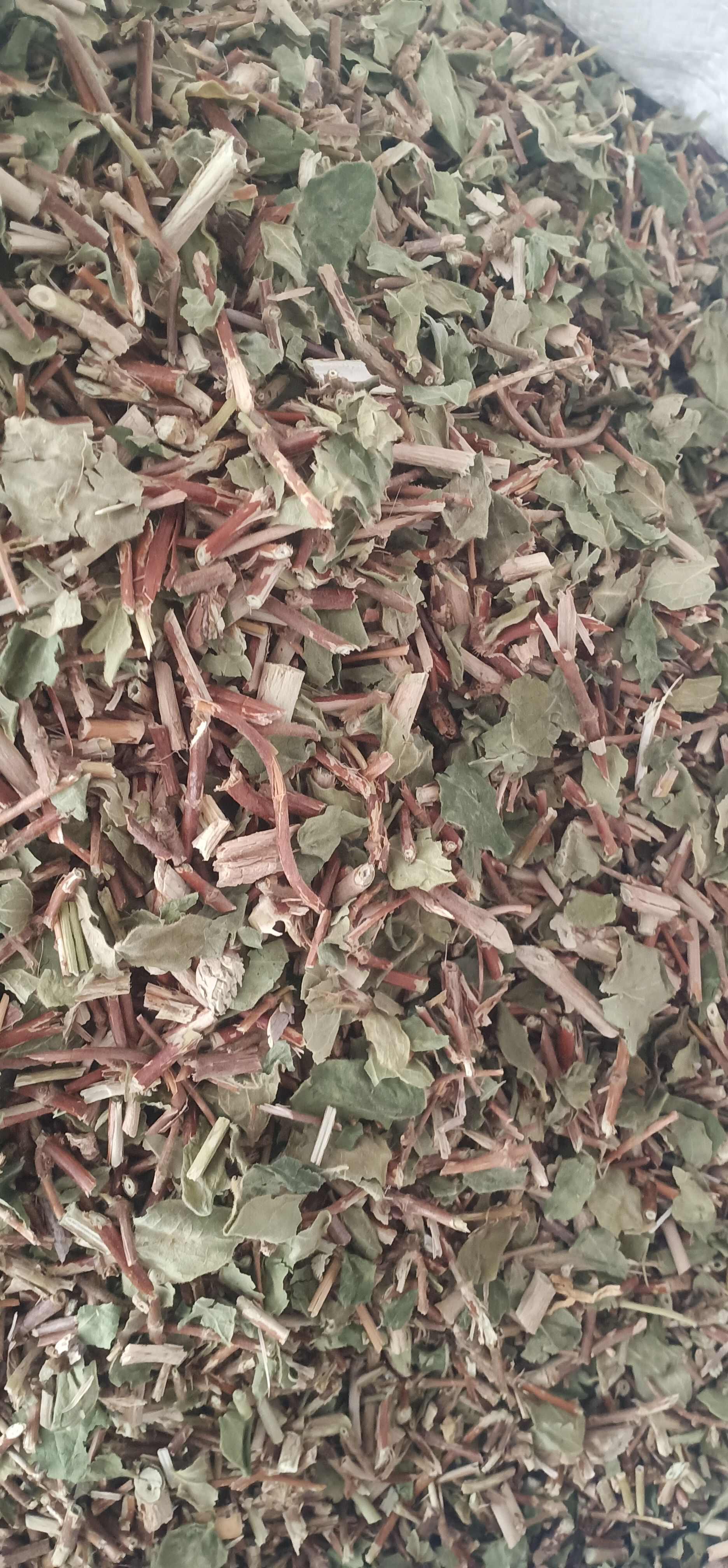 新货忍冬藤一手货源量大忧惠