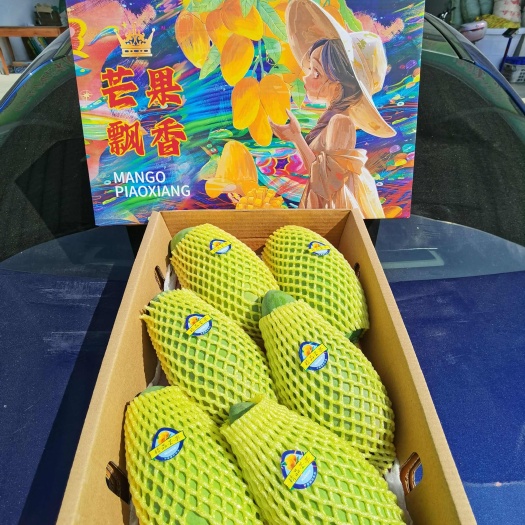 田东县大金煌芒装大量供应，整箱包邮到家，欢迎对接。