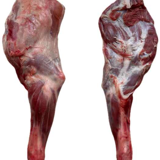 大厂县带骨前腿 烤羊腿 羔羊羊腿 羊前腿 三斤二斤