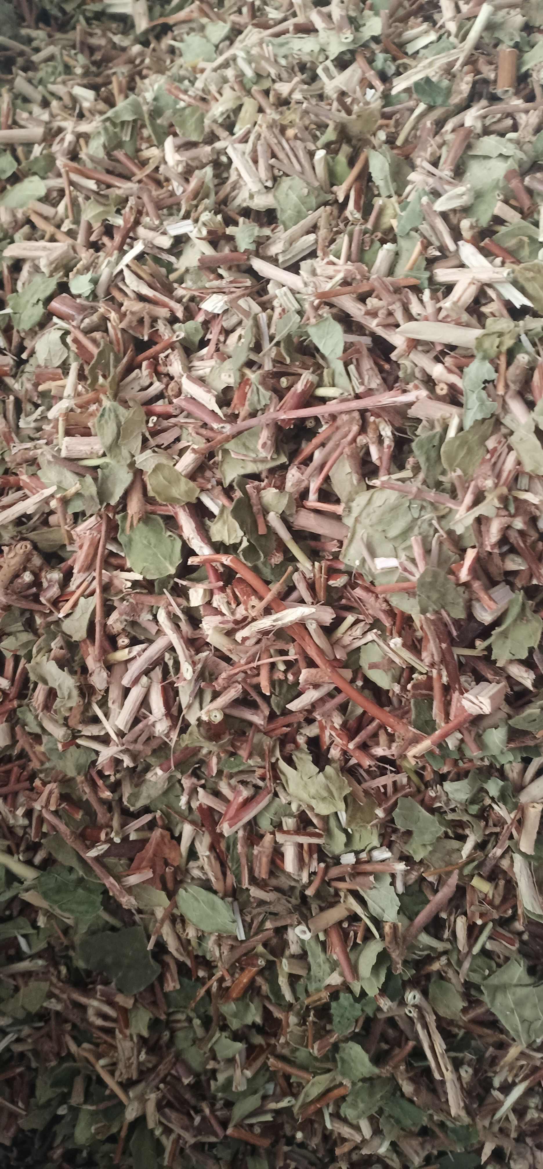 新货忍冬藤一手货源量大忧惠