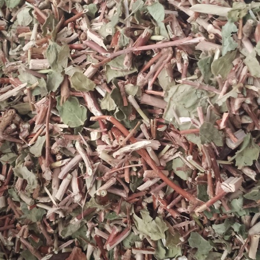新货忍冬藤一手货源量大忧惠