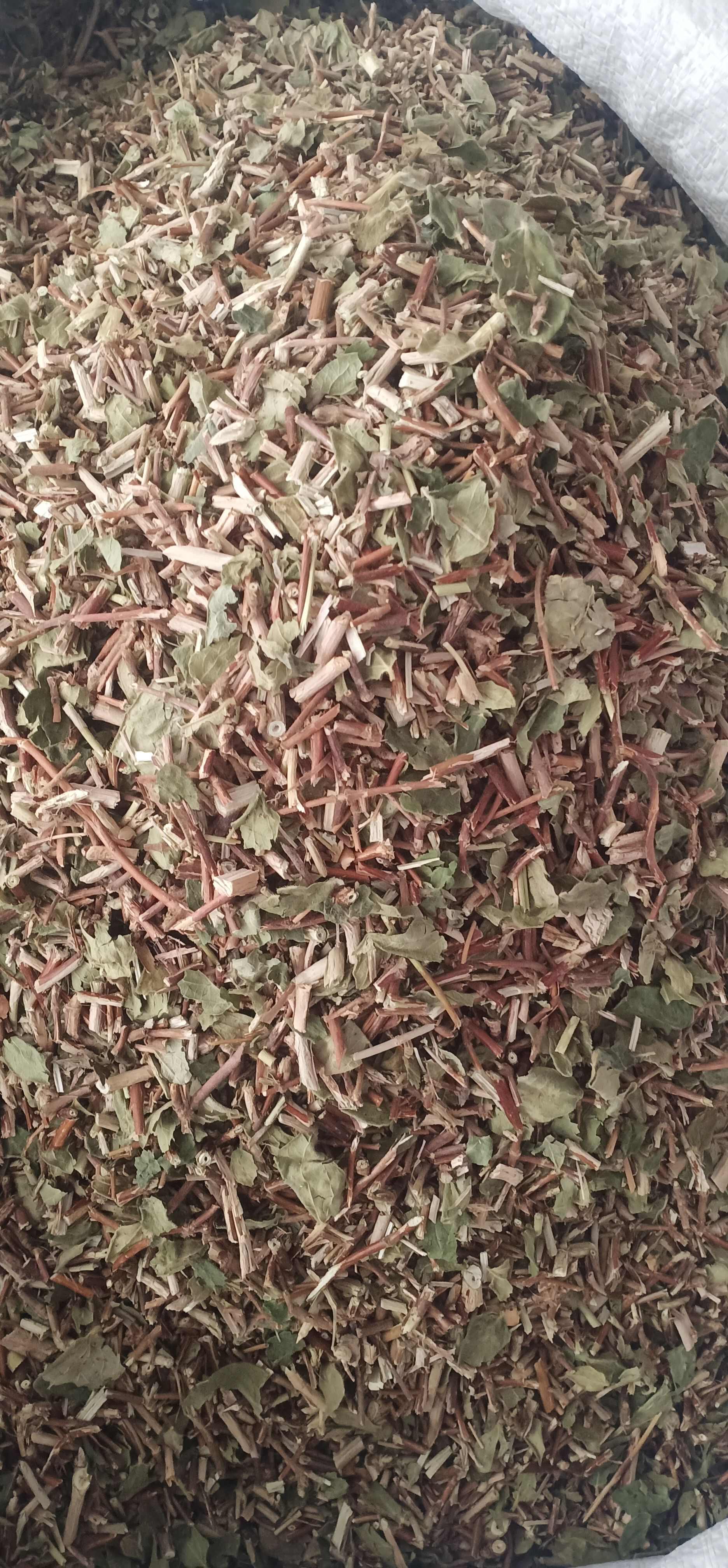 新货忍冬藤一手货源量大忧惠