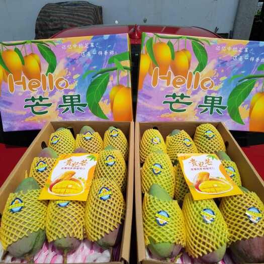 田东县大贵妃大量供应电商微商，社区团购，落地配市场档口等。
