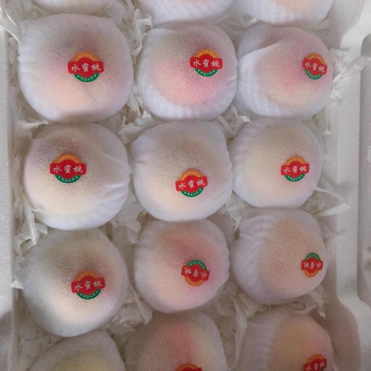 萧县突围桃