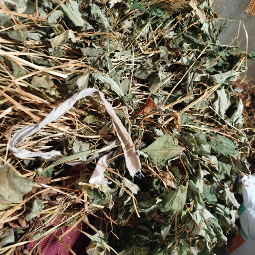 野生鱼腥草，干货