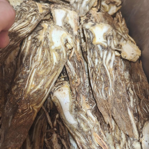 陇西县甘肃当归