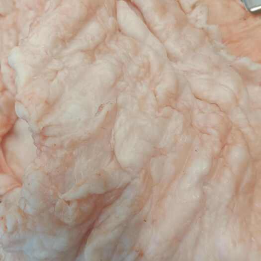 泉州猪肉