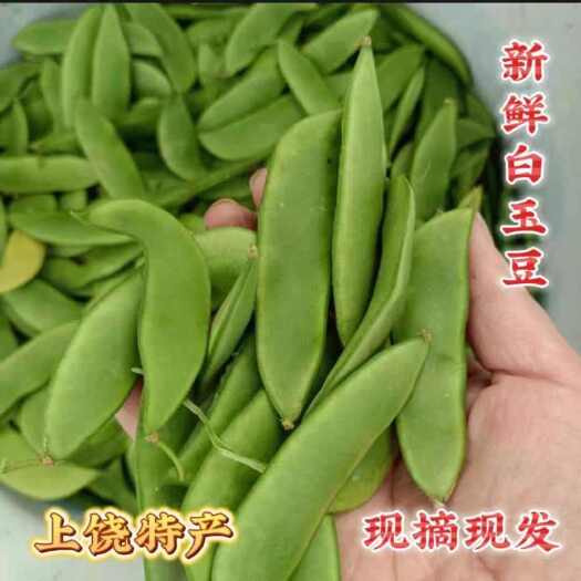玉山县上饶玉山白玉豆白扁豆先采豆壳