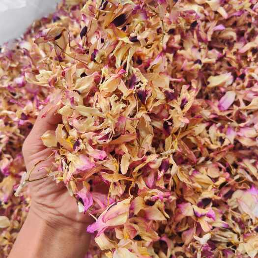 思茅金钗花石斛花_干货