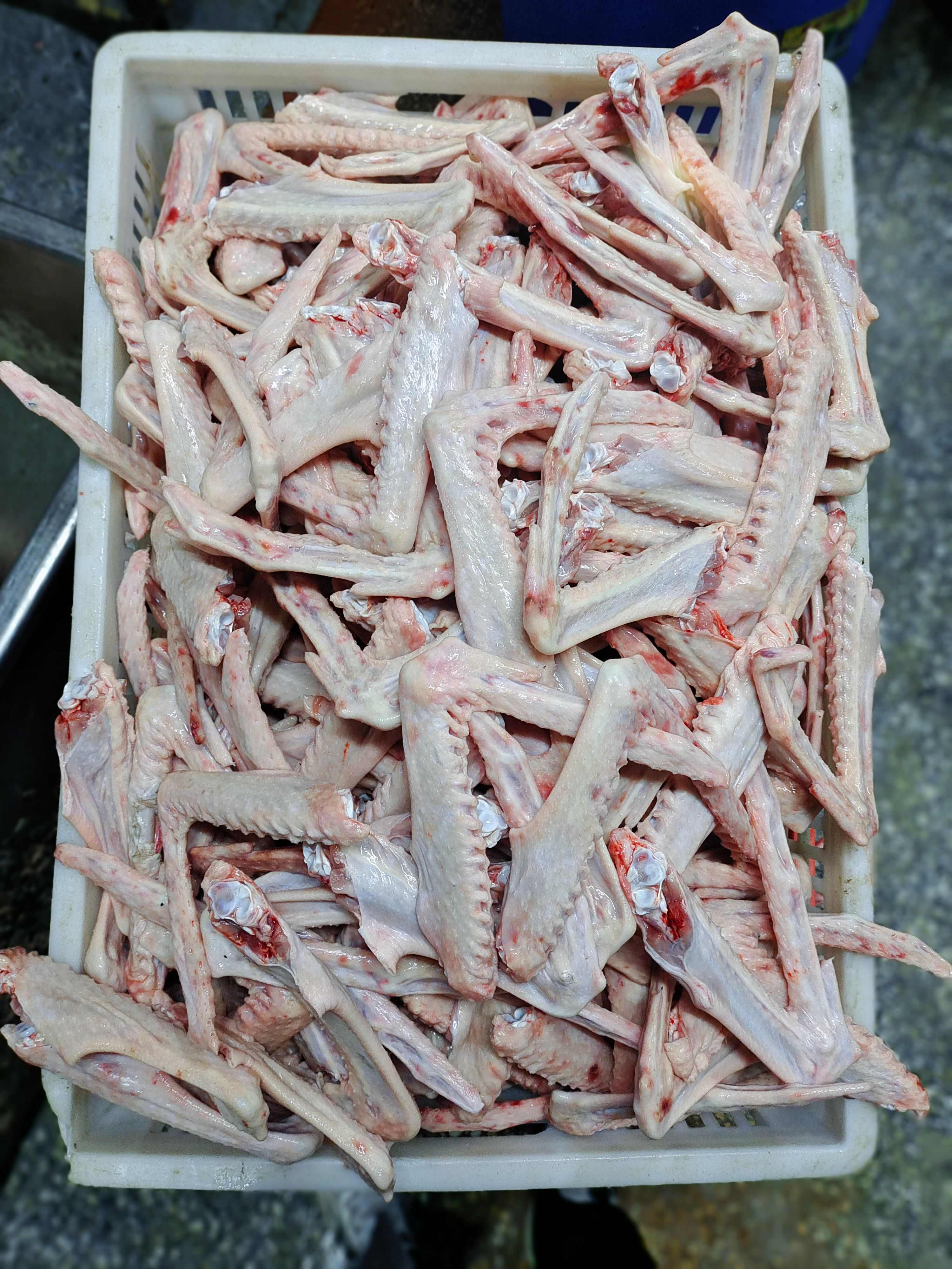 河南新鲜优质鹅翅 鹅副产品精选批发，需要的联系