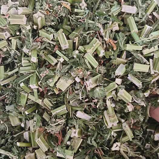 玉林益母草，中药材益母草，源头厂家直销
