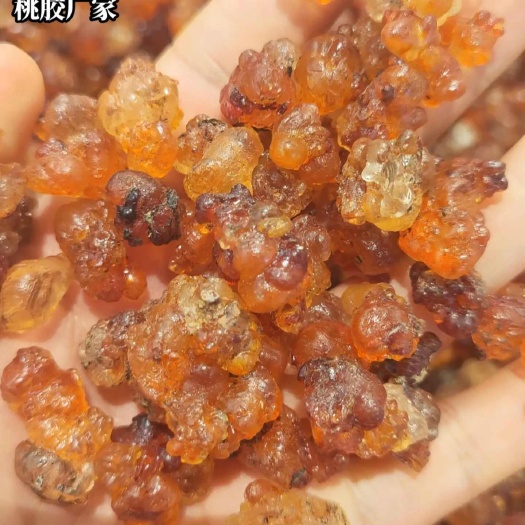 嘉祥县桃胶