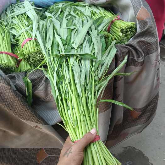 邯郸你好。河北邯郸南大堡蔬菜批发市场有五十多种蔬菜。有需要联系