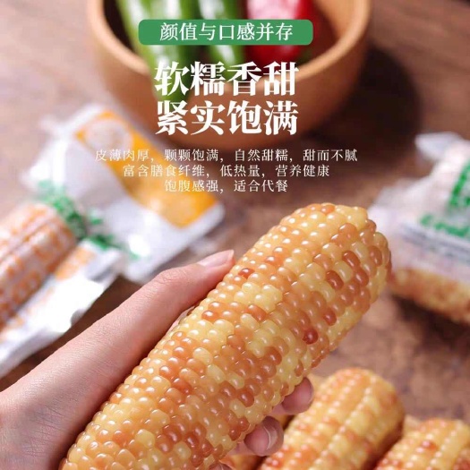 昆明云南西双版纳香糯小玉米即食真空包装新鲜傣家甜糯玉米棒粗粮代餐