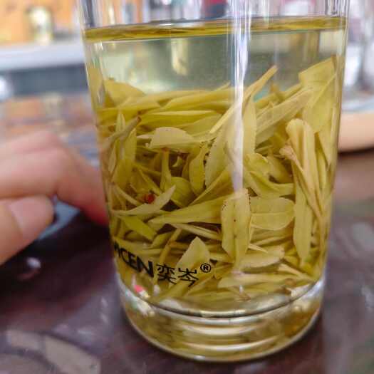 潜山市安吉白茶黄金茶