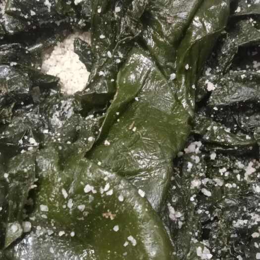 福建湄洲岛整根绿色盐渍海带片