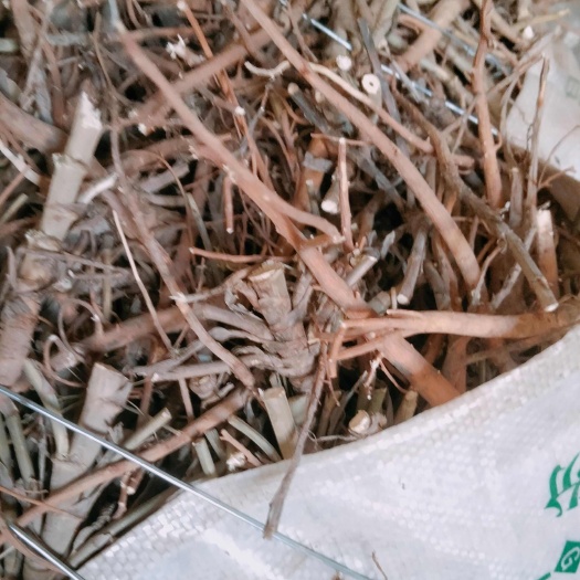 陇西县北柴胡