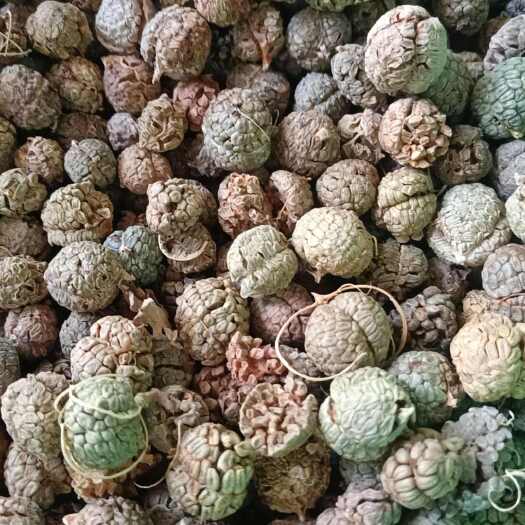 灵山县大草寇