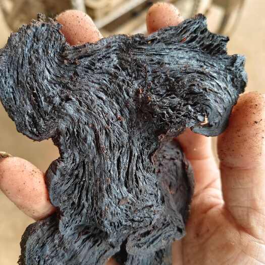 昌宁县九制黄精片