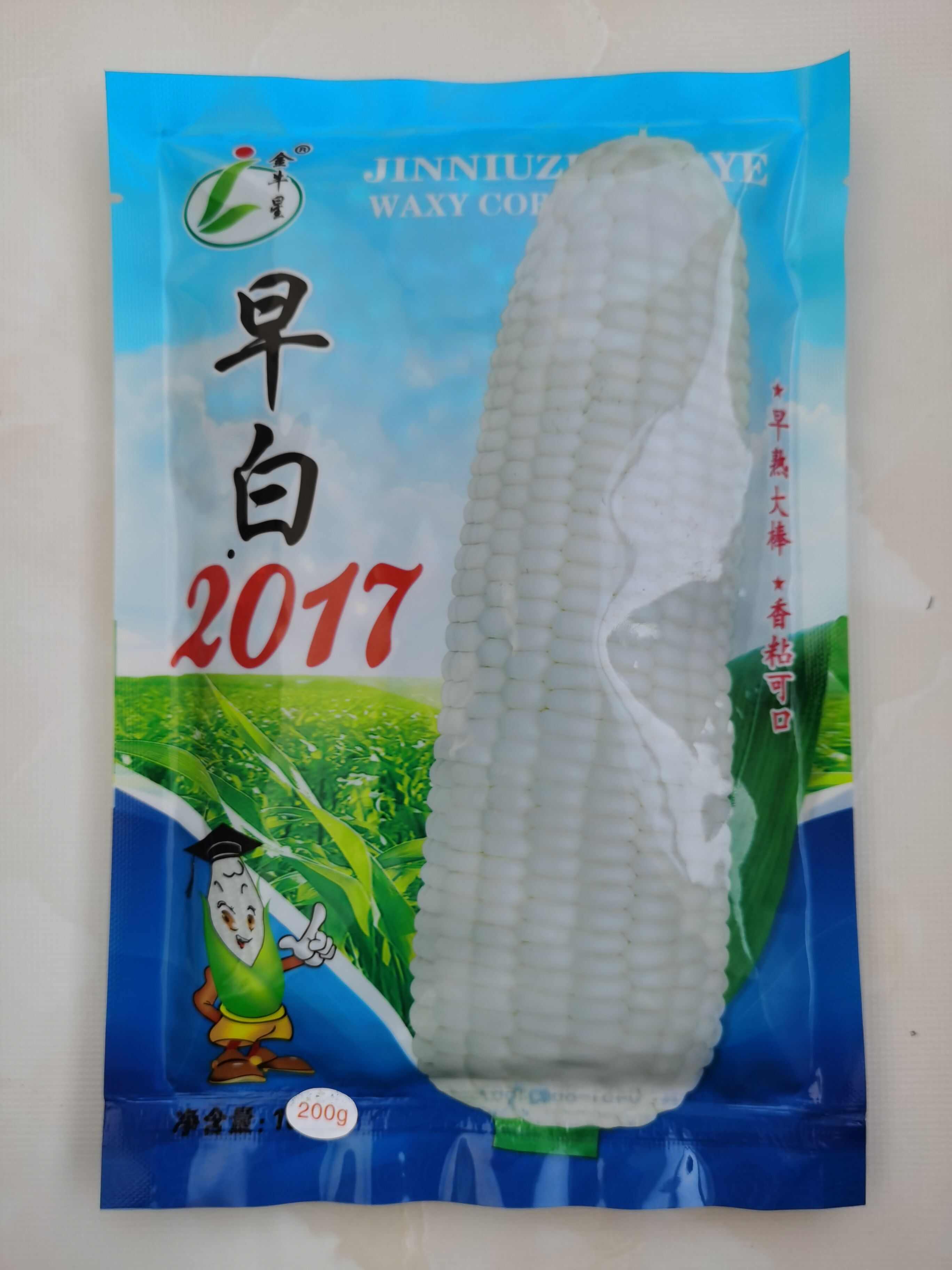 早白2017极早熟69天白糯玉米种子