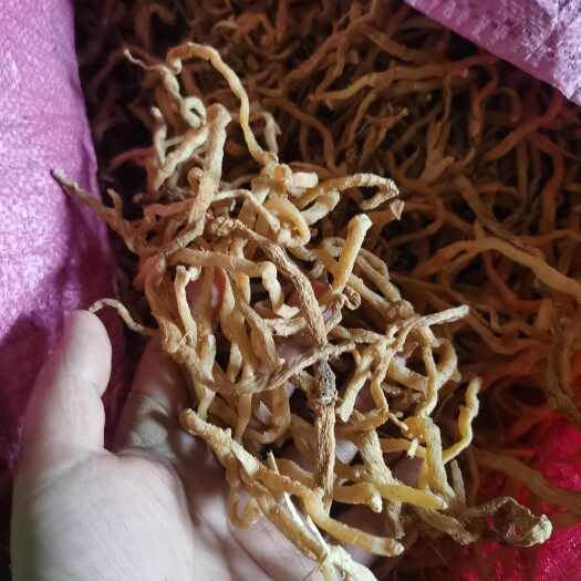 宜都市玉竹，纯干货，选货