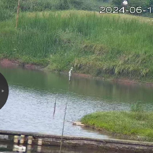 水库转出