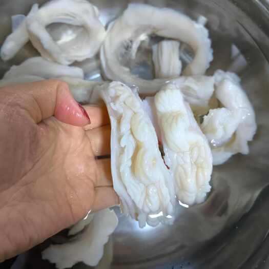成都霸王脆肚（猪脆肠）水发产
