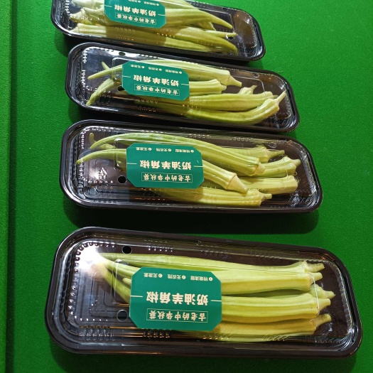 秋葵