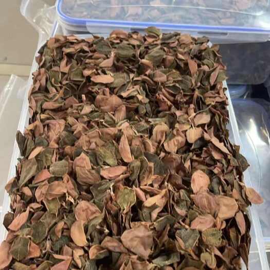 南靖县金线莲