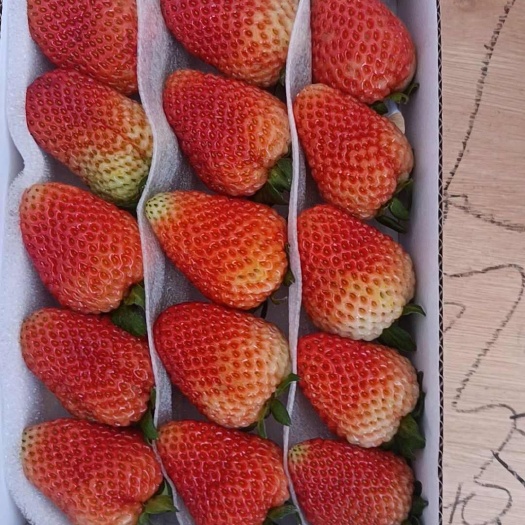 会泽县蒙特瑞