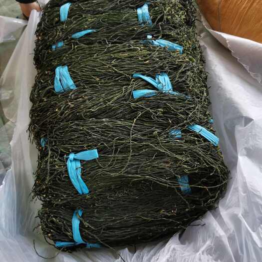 单县精品干豆角，口感好，价格便宜