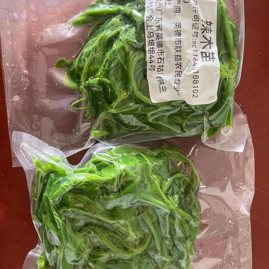 佛山辣木苗