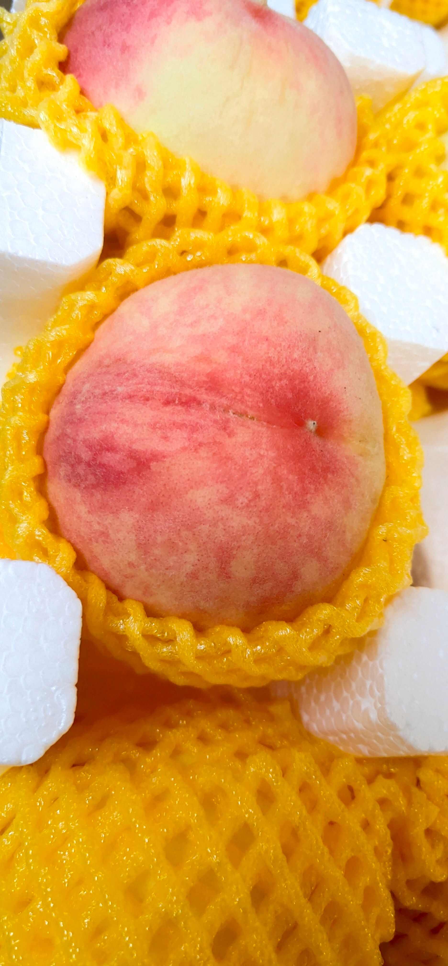蜜桃