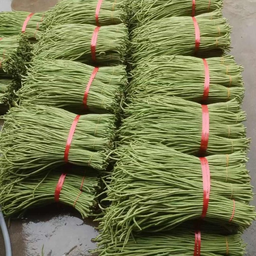 城固县陕南城固大量供应鲜豇豆鲜豆角