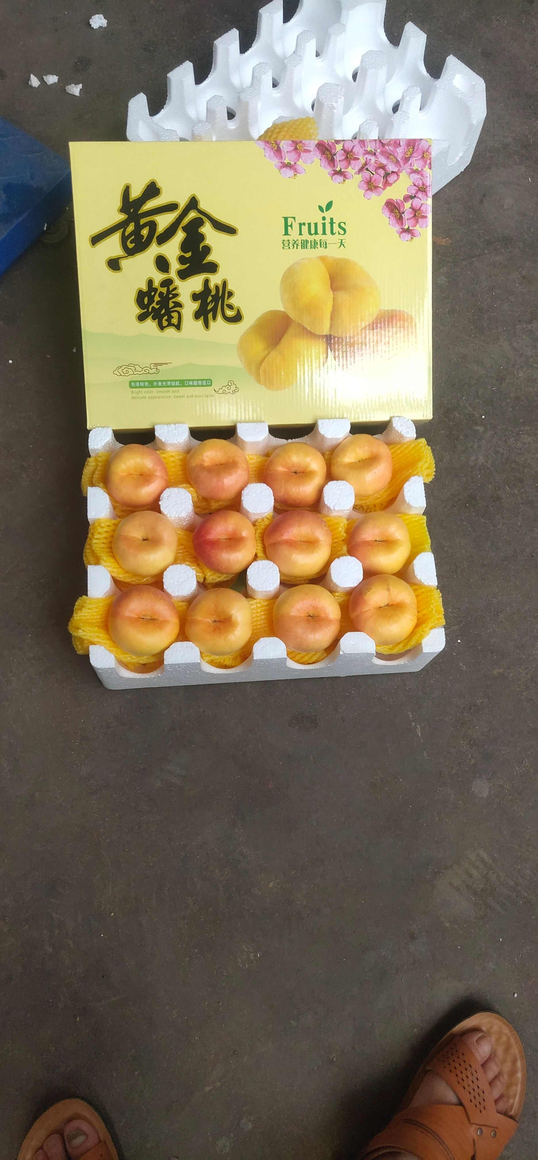 油蟠桃
