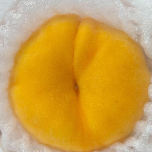 蒙阴县黄金蜜桃