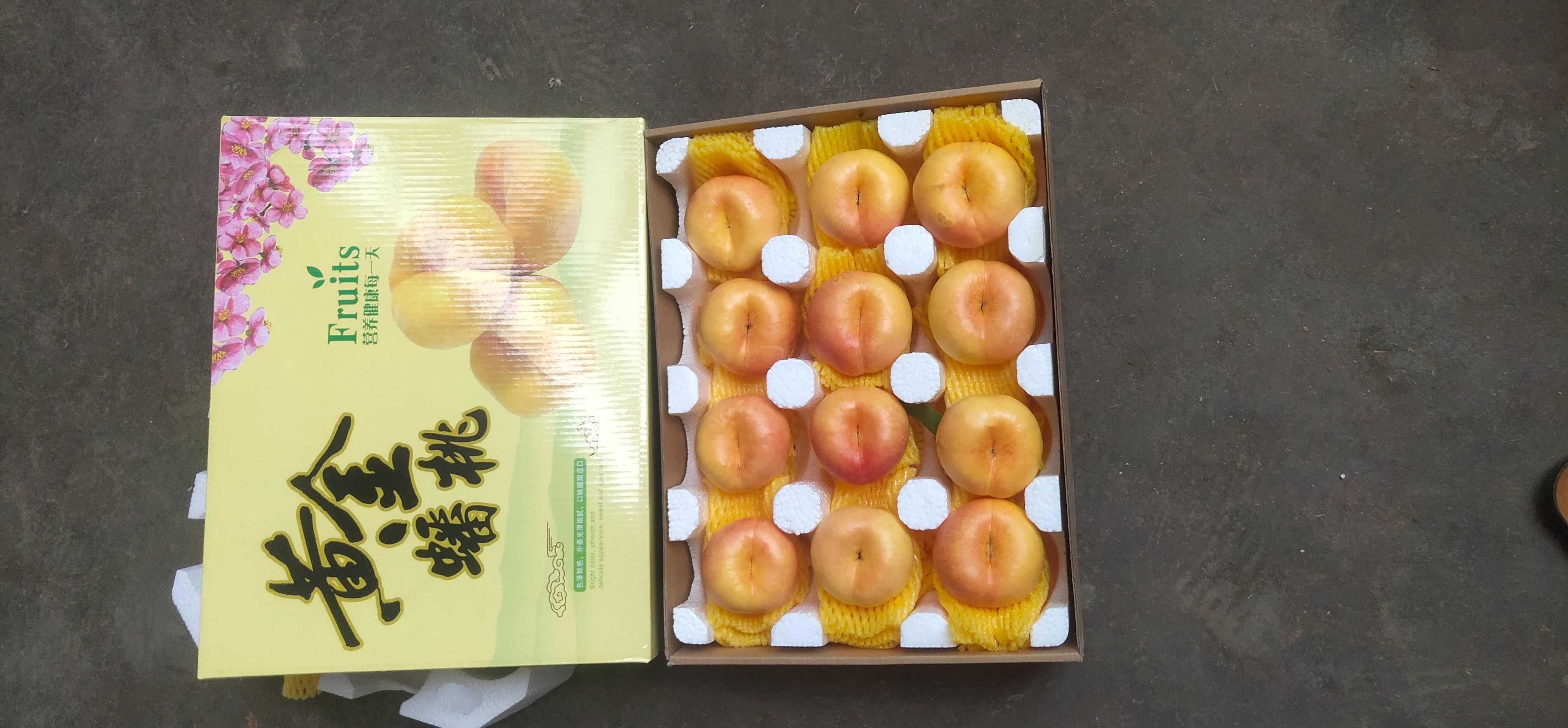 油蟠桃