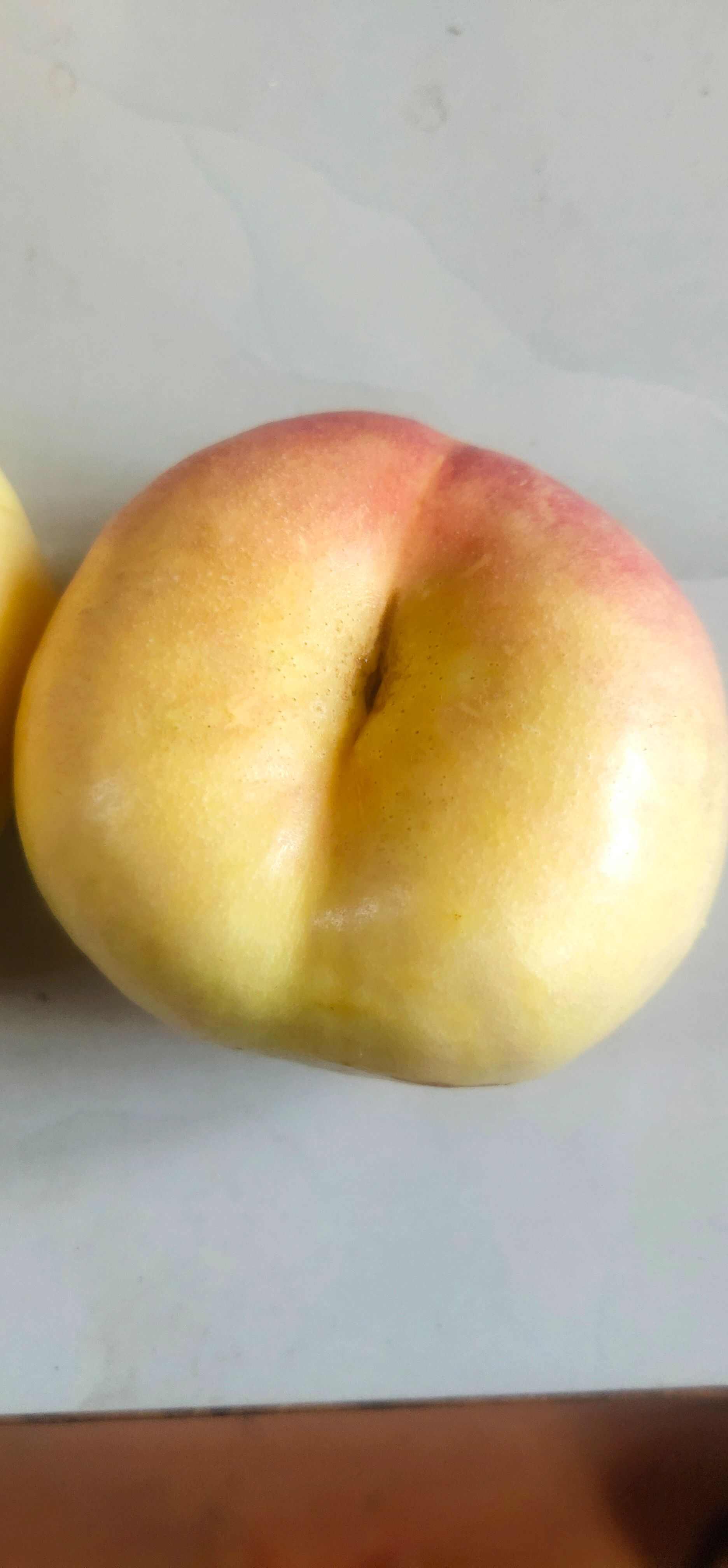 油蟠桃