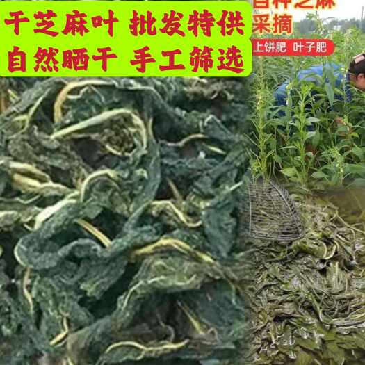 镇平县干芝麻叶批发精选新货嫩叶日晒干叶凉拌芝麻叶一件代发整箱包邮