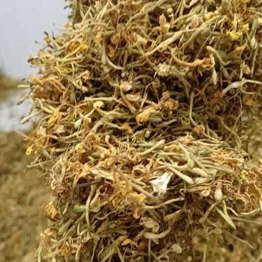 安龙县贵州安龙金银花，大开花货，生长，无硫。