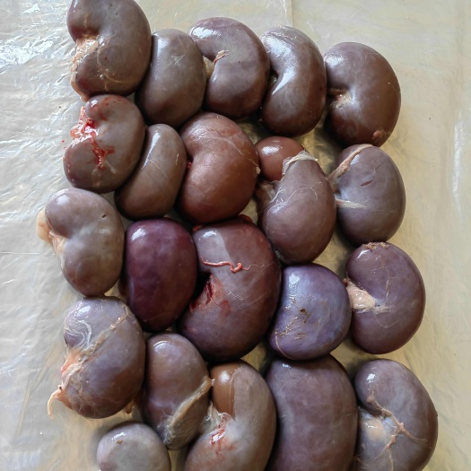 羊副产品羊净腰，活动价！不要错过！