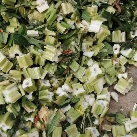 南阳益母草