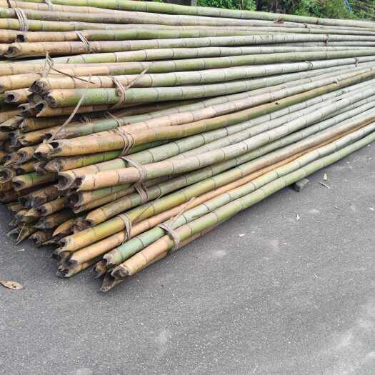 重庆市竹山基地，百家竹竿长度3-8米班竹竿10米及以上可按要采伐