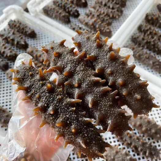即食海参
