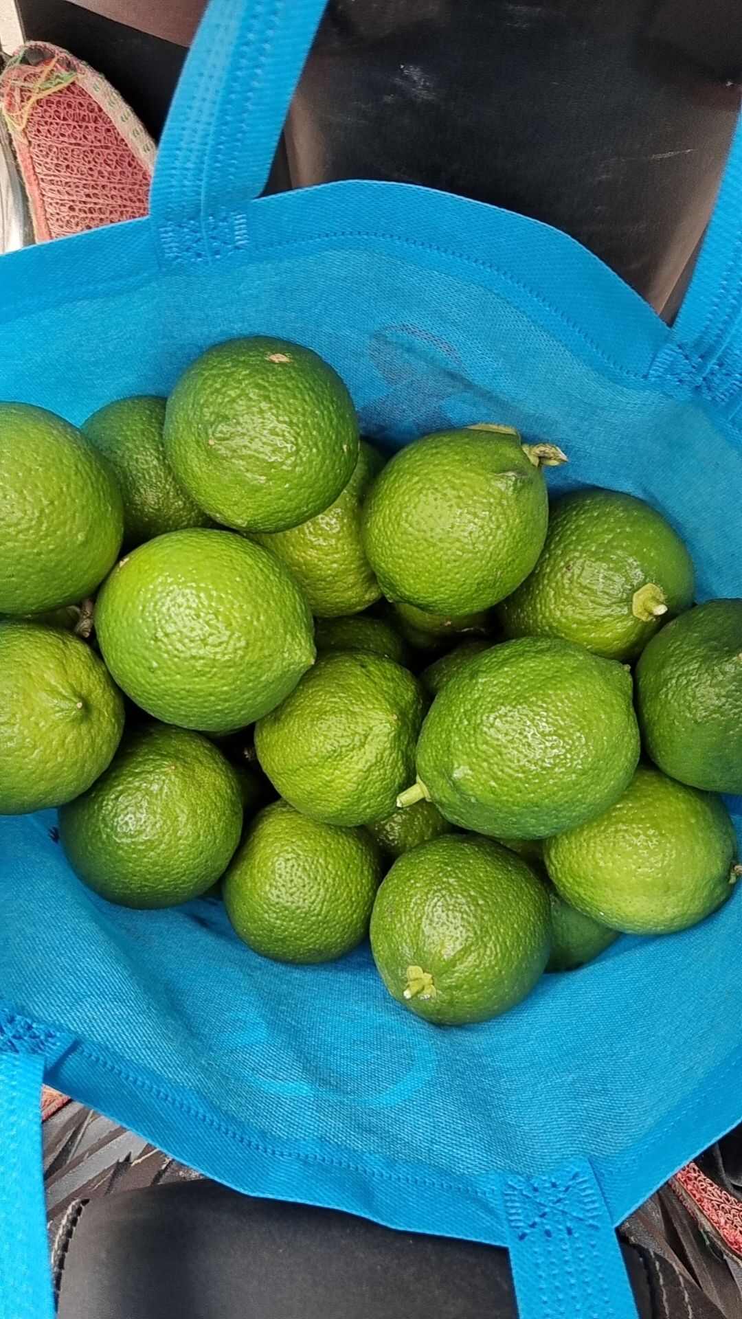 尤力克青柠檬统货