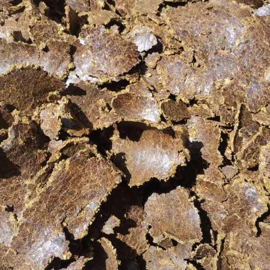 郓城县棉籽饼是种植，养殖的好帮手