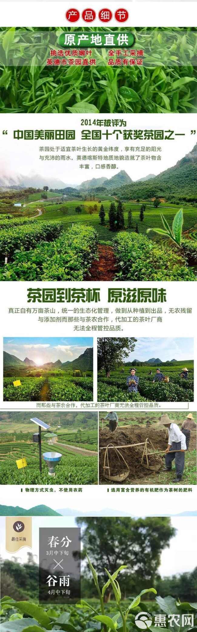 正品红茶英红九号核心产区厂家直营优质货源大量批发下单极速发货