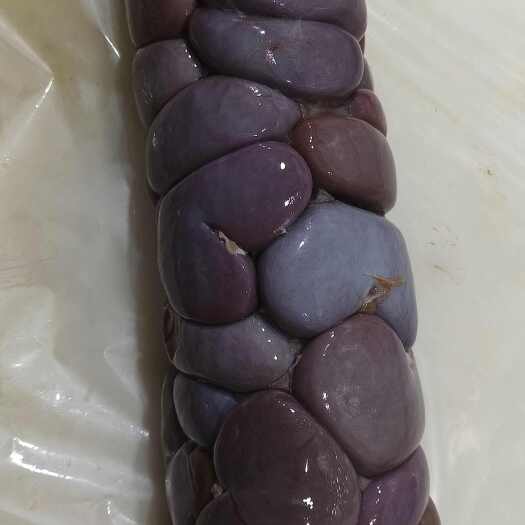 羊净腰