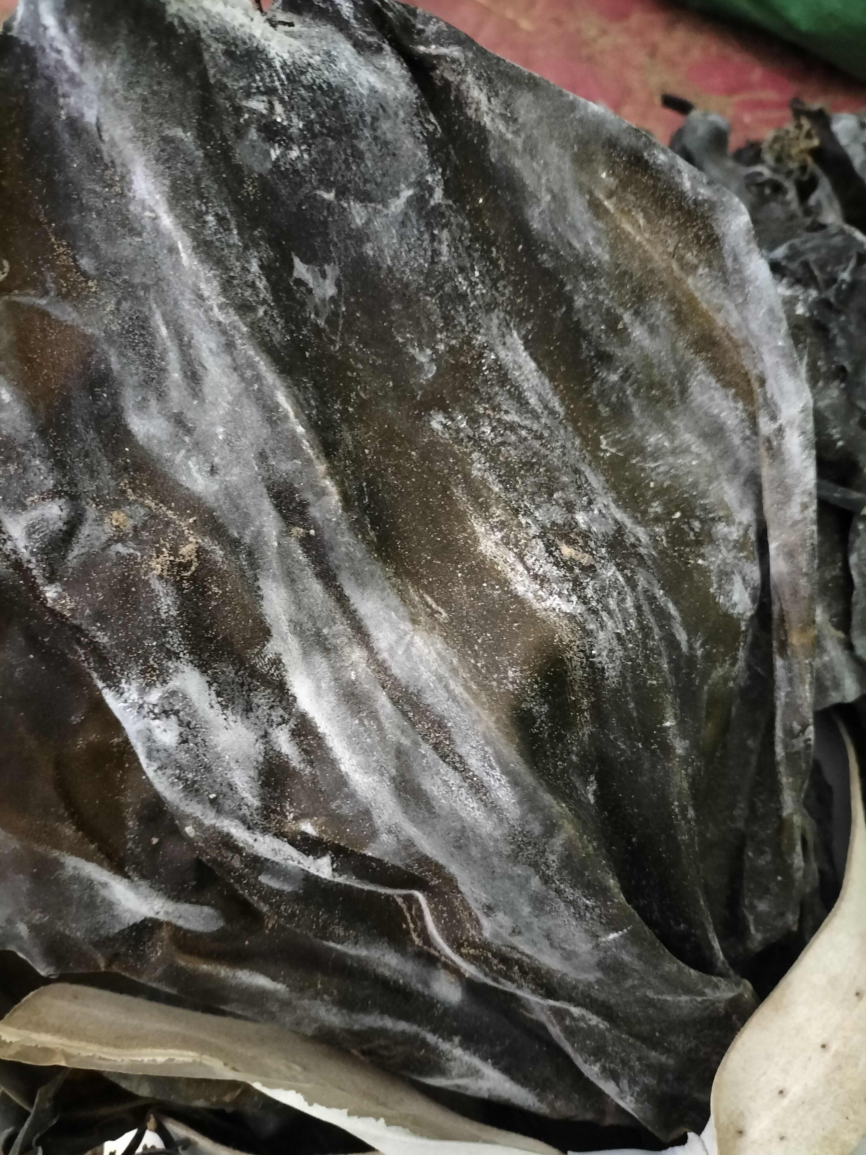 25年新货山东干海带 晒干整根海带干货10kg20斤散装饭店